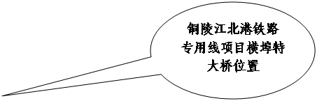 銅陵江北港鐵路專用線項目橫埠特大橋工地“8·1”事故調查報告