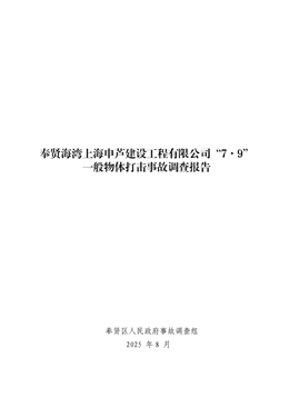奉賢海灣上海申蘆建設(shè)工程有限公司“7·9”一般物體打擊事故調(diào)查報告