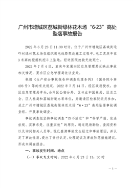 廣州市增城區(qū)荔城街綠林花木場“6·23”高處墜落事故報(bào)告