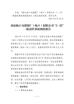 南山蛇口友聯船廠（蛇口）有限公司“5·22”一般高墜事故調查報告