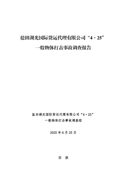 鹽田湖光國際貨運代理有限公司“4·25”一般物體打擊事故調查報告