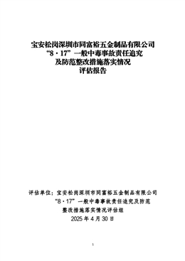 寶安松崗深圳市同富裕五金制品有限公司“8·17”一般中毒事故責(zé)任追究及防范整改措施落實(shí)情況評(píng)估報(bào)告