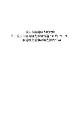 重慶市潼南區龍形鎮省道538 線“2·9”一般道路交通事故調查報告