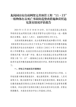 龍崗園山“11·23”一般物體打擊死亡事故調查報告防范整改措施和責任追究落實情況評估報告